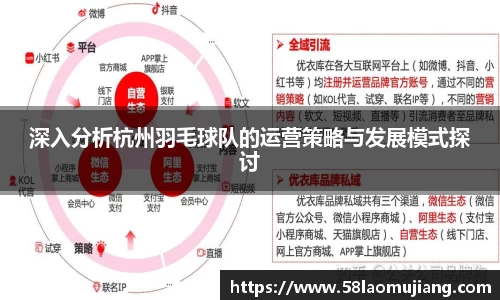 深入分析杭州羽毛球队的运营策略与发展模式探讨